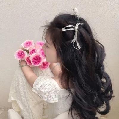 苏珊夫人寻婚计